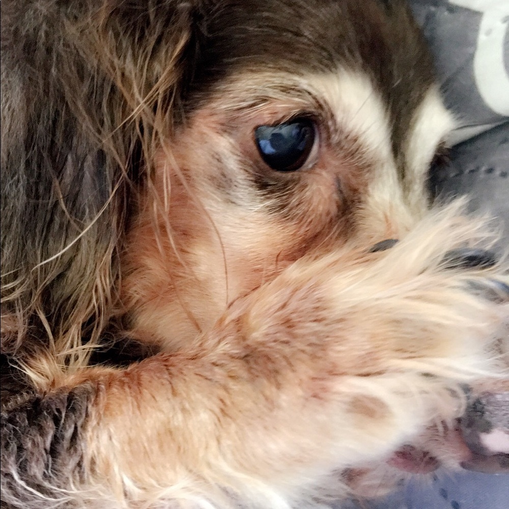 Meet your Posher, Cristina